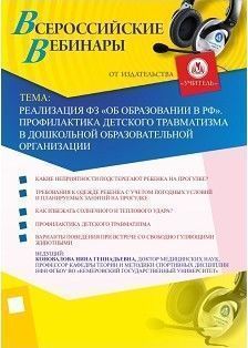 Вебинар «Реализация ФЗ «Об образовании в РФ». Профилактика детского травматизма в дошкольной образовательной организации»