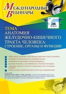 Международный вебинар «Анатомия желудочно-кишечного тракта человека: строение, органы и функции»