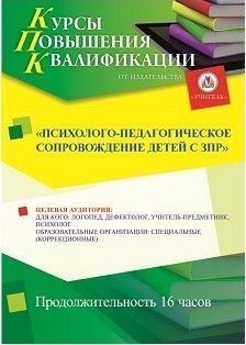 Психолого-педагогическое сопровождение детей с ЗПР (16 ч.)