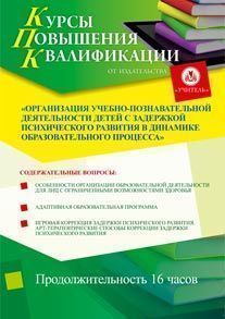 Организация учебно-познавательной деятельности детей с задержкой психического развития в динамике образовательного процесса (16 ч.)