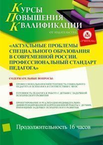 Актуальные проблемы специального образования в современной России. Профессиональный стандарт педагога (16 ч.)