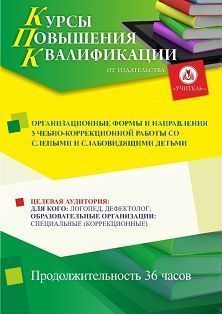 Организационные формы и направления учебно-коррекционной работы со слепыми и слабовидящими детьми (36 ч.)