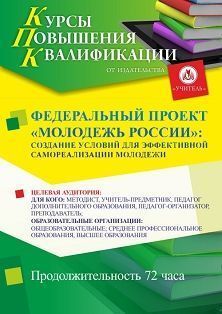 Федеральный проект «Молодежь России»: создание условий для эффективной самореализации молодежи (72 ч.)