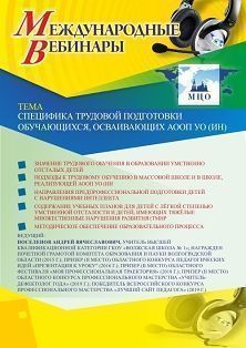 Международный вебинар «Специфика трудовой подготовки обучающихся, осваивающих АООП УО (ИН)»