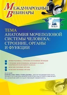 Международный вебинар «Анатомия мочеполовой системы человека: строение, органы и функции»