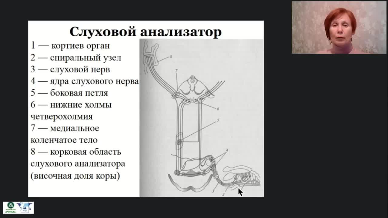 Международный вебинар &quot;Анатомия, физиология и патология органов слуха, речи и зрения&quot; - изображение № 3