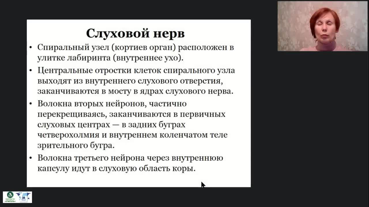 Международный вебинар &quot;Анатомия, физиология и патология органов слуха, речи и зрения&quot; - изображение № 5