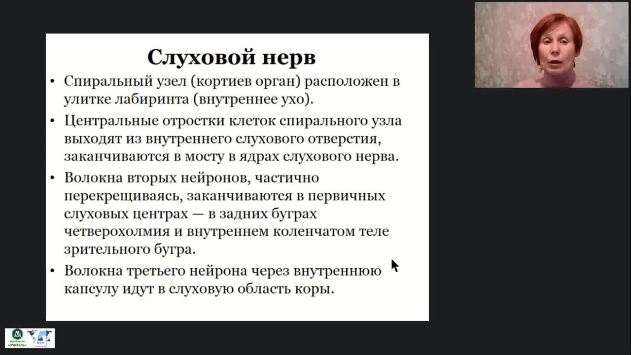 Международный вебинар &quot;Анатомия, физиология и патология органов слуха, речи и зрения&quot; - изображение № 6
