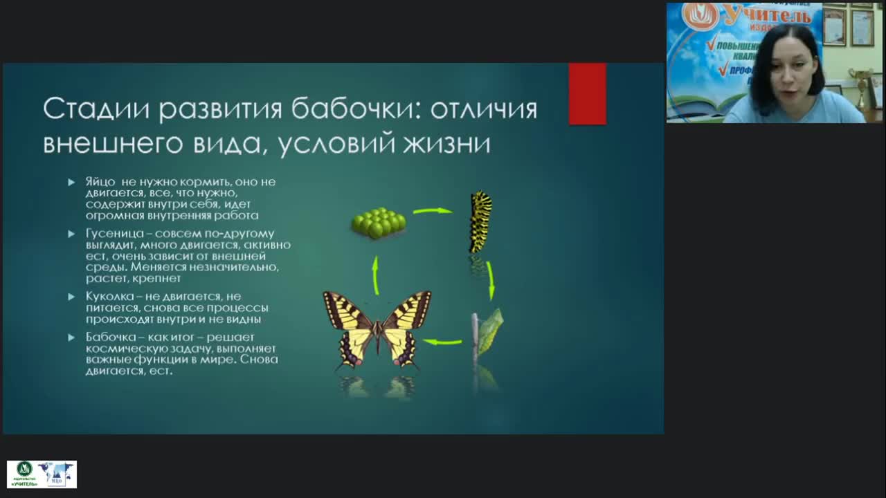 Международный вебинар &quot;Монтессори-педагогика для детей от 3 до 6 лет: основные направления образовательной работы&quot; - изображение № 4