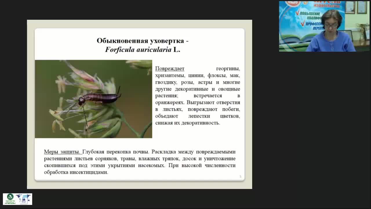 Международный вебинар &quot;Защита декоративных цветочных культур от вредителей в открытом и защищенном грунте&quot; - изображение № 5