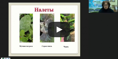 Международный вебинар "Защита декоративных древесно-кустарниковых растений от болезней" - видеопрезентация
