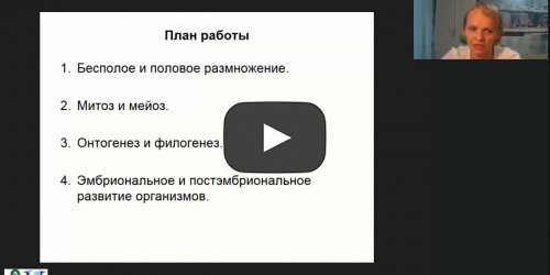 Вебинар "Организм. Размножение, рост и индивидуальное развитие организмов" - видеопрезентация