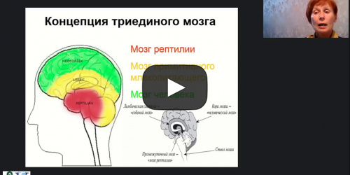 Международный вебинар «"Гимнастика для мозга" малоподвижных пациентов как важнейшая составляющая сохранности их интеллекта» - видеопрезентация
