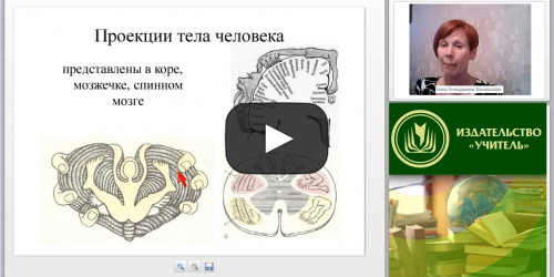 Международный вебинар "Двигательная активность и здоровье современного человека: характеристика основных оздоровительных упражнений" - видеопрезентация