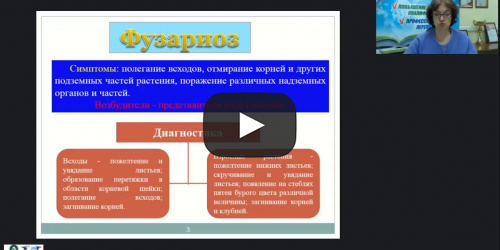 Международный вебинар "Защита декоративных цветочных культур от болезней в открытом и защищенном грунте. Комплексная защита декоративных культур от вредителей, болезней и неблагоприятных метеорологических условий" - видеопрезентация