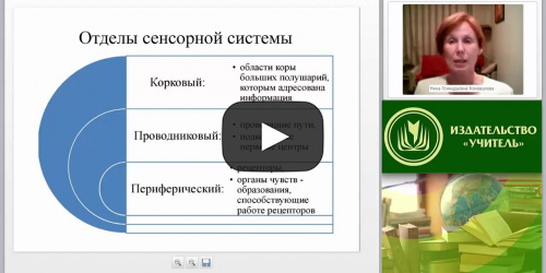 Международный вебинар "Физиология и гигиена нервной системы" - видеопрезентация