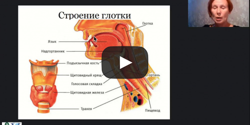 Международный вебинар «Особенности организации приема пищи, проведения кормления пациентов, имеющих сложности с пережевыванием и проглатыванием пищи» - видеопрезентация