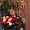 Ирина  Миронова