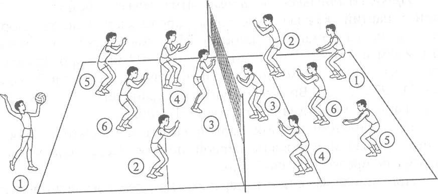 Переходы в игре волейбол. Волейбол расположение игроков на поле. Схема расстановки игроков на волейбольной площадке. Расстановка игроков в волейболе рисунок. Волейбол размещение игроков на площадке.