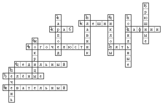 Сканворд по маске 5