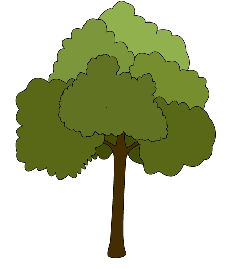дерево.png