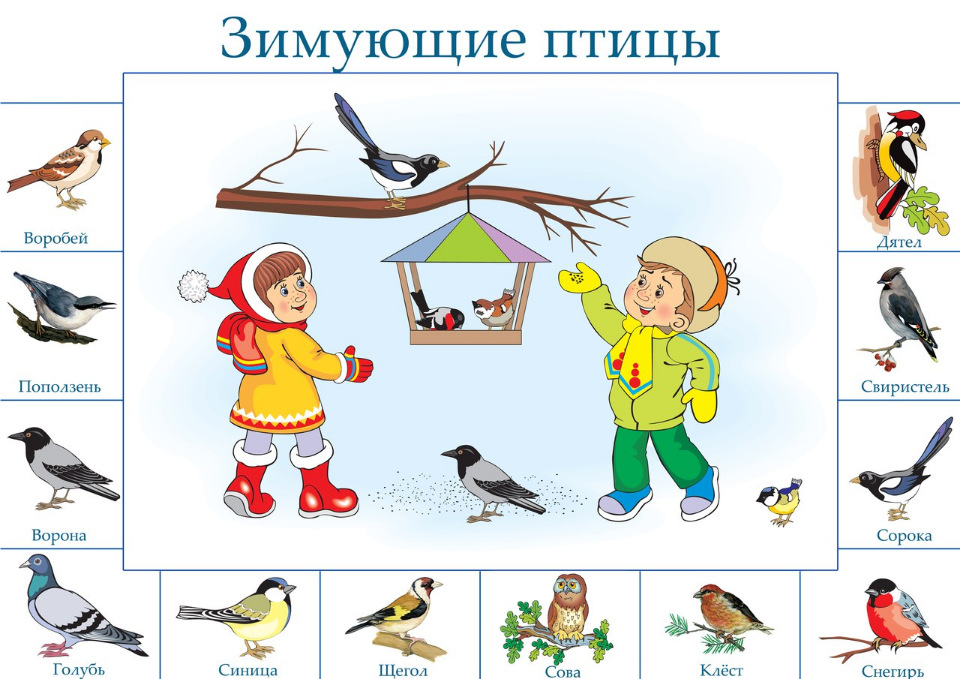 Описание: Картинки по запросу птички у кормушки мультяшные